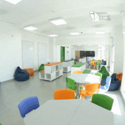 Untitled design (3)