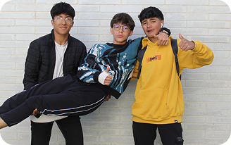 Manual de Uso de Plataformas